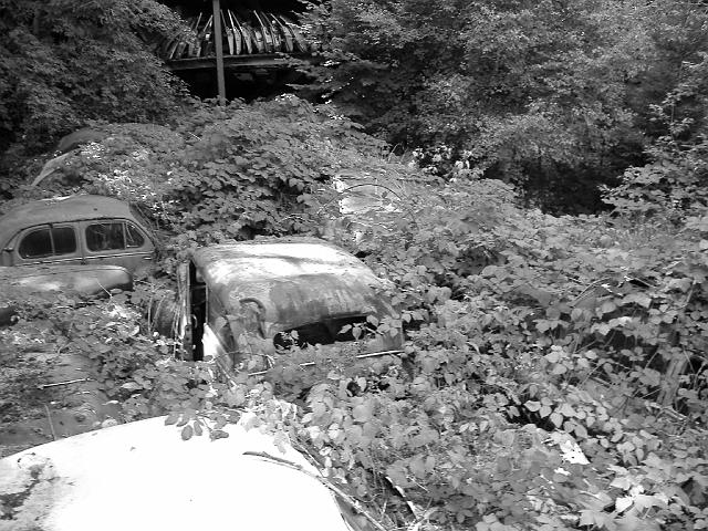 Autofriedhof - 011.JPG - Historischer Autofriedhof,    Gürbetal (CH)